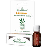 Cannaderm CANNADENT Regenerationsserum 1×5 ml, Regenerationsserum