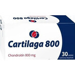 Cartilage 800 1×30 tbl, complément alimentaire Cartilage 800 1×30 tbl, complément alimentaire