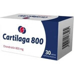 Cartilage 800 1×30 tbl, complément alimentaire Cartilage 800 1×30 tbl, complément alimentaire