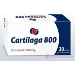 Cartilage 800 1×30 tbl, complément alimentaire Cartilage 800 1×30 tbl, complément alimentaire