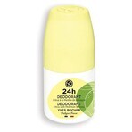 Yves Rocher Deodorant 24 h Citrus Deodorant with Mint 1×50 ml, deodorant Yves Rocher Deodorant 24 h Citrus Deodorant with Mint 1×50 ml, deodorant