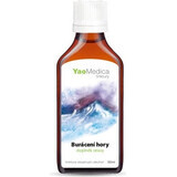 Yaomedica 011 Roaring Mountains 50ml 1×50 ml