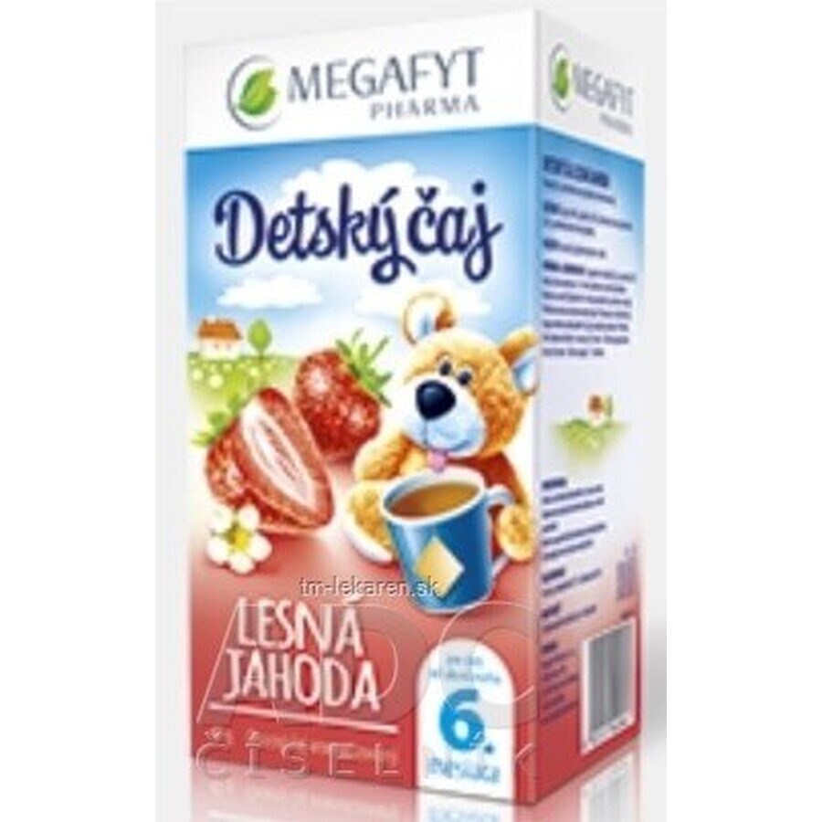 MEGAFYT FOREST BERRY Kindertee 20×2 g (40 g), Früchtetee