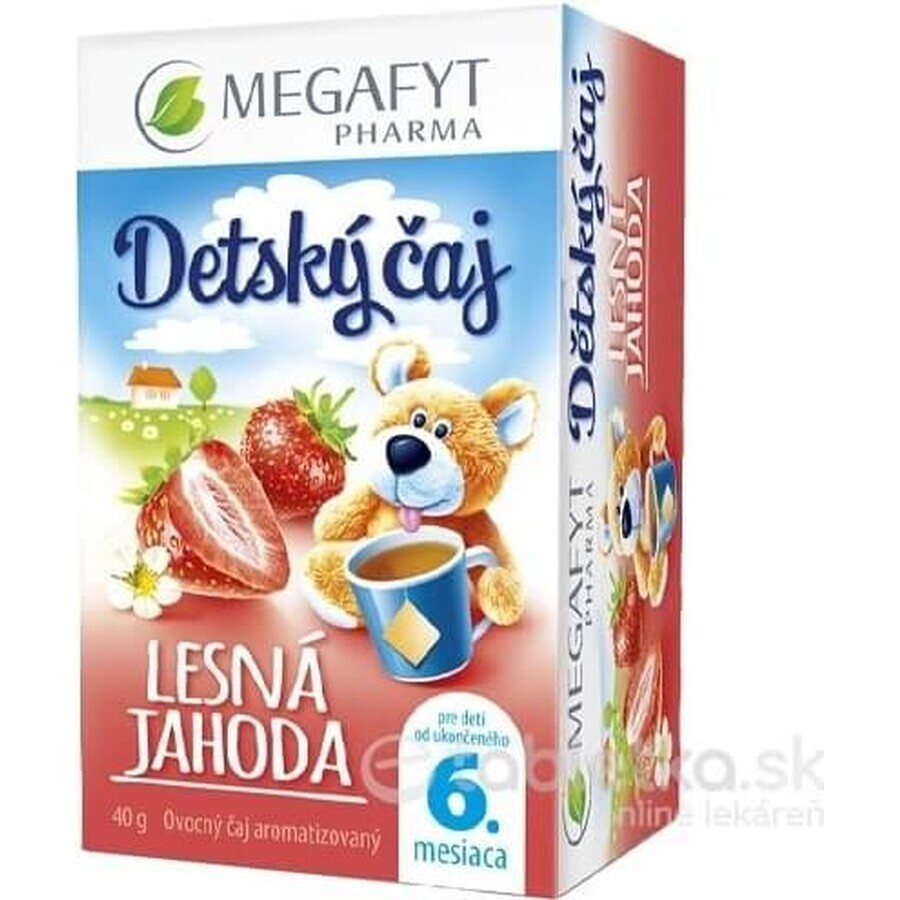 MEGAFYT FOREST BERRY Kindertee 20×2 g (40 g), Früchtetee