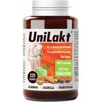 UniLakt Zimt 1×220 Teelöffel, Zimt