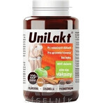 UniLakt Zimt 1×220 Teelöffel, Zimt