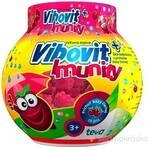 Vibovit + Immunité 50 1×50 pcs, gelée au sureau noir Vibovit + Immunité 50 1×50 pcs, gelée au sureau noir