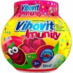 Vibovit + Immunité 50 1×50 pcs, gelée au sureau noir Vibovit + Immunité 50 1×50 pcs, gelée au sureau noir