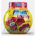 Vibovit + Immunité 50 1×50 pcs, gelée au sureau noir Vibovit + Immunité 50 1×50 pcs, gelée au sureau noir