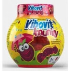Vibovit + Immunité 50 1×50 pcs, gelée au sureau noir Vibovit + Immunité 50 1×50 pcs, gelée au sureau noir