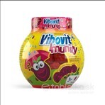 Vibovit + Immunité 50 1×50 pcs, gelée au sureau noir Vibovit + Immunité 50 1×50 pcs, gelée au sureau noir