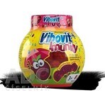 Vibovit + Immunité 50 1×50 pcs, gelée au sureau noir Vibovit + Immunité 50 1×50 pcs, gelée au sureau noir