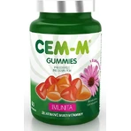 CEM-M for Adults Immunity 1×90 tbl, multivitamine avec minéraux