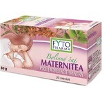 FYTO MATERNITY Kruidenthee voor moeders die borstvoeding geven 20×1,5 g, kruidenthee
