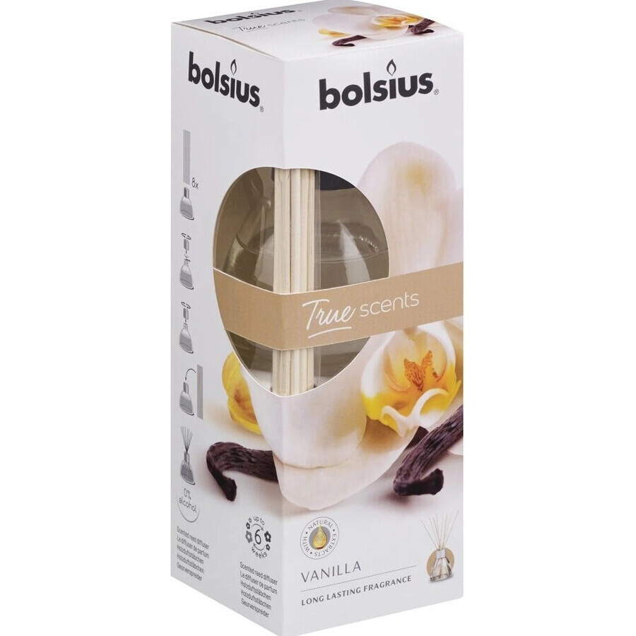 Buy Bolsius Aromatic 2.0 Bottle 95x95mm Vanilla, scented candle 1×1 pc, scented candle Bolsius Aromatic 2.0 Bottle 95x95mm Vanilla, scented candle 1×1 pc, scented candle