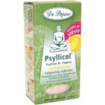 DR. POPOV PSYLLICOL LEMON 1×100 g, soluble fiber