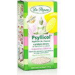 DR. POPOV PSYLLICOL LEMON 1×100 g, soluble fiber