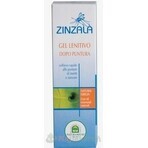 NH - ZINZALA SOOTHING GEL after insect bites 1x20 ml NH - ZINZALA SOOTHING GEL after insect bites 1x20 ml