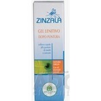 NH - ZINZALA SOOTHING GEL after insect bites 1x20 ml NH - ZINZALA SOOTHING GEL after insect bites 1x20 ml