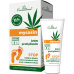 Cannaderm Mycosin antimykotische Creme 1x30 g, Creme Cannaderm Mycosin antimykotische Creme 1x30 g, Creme