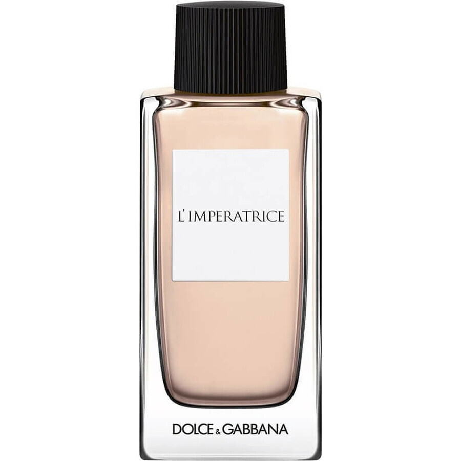 Dolce&Gabbana Anthology L Imperat 3 Edt 100ml 1×100 ml, Eau de toilette