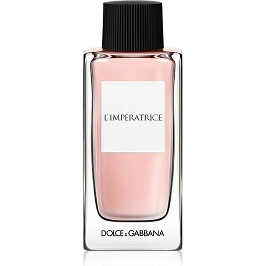 Dolce&Gabbana Anthology L Imperat 3 Edt 100ml 1×100 ml, Eau de toilette Dolce&Gabbana Anthology L Imperat 3 Edt 100ml 1×100 ml, Eau de toilette