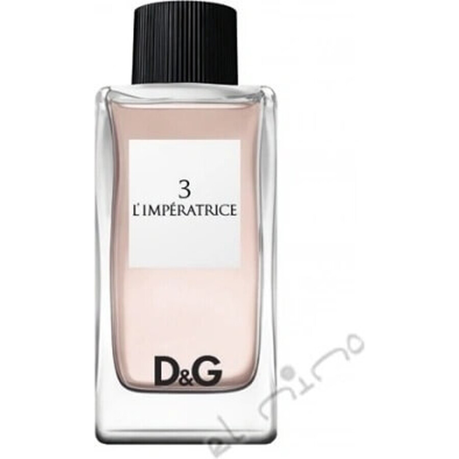 Dolce&Gabbana Anthology L Imperat 3 Edt 100ml 1×100 ml, Eau de toilette Dolce&Gabbana Anthology L Imperat 3 Edt 100ml 1×100 ml, Eau de toilette