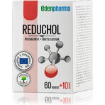 EDENPharma REDUCHOL 1×70 cps, Nahrungsergänzungsmittel EDENPharma REDUCHOL 1×70 cps, Nahrungsergänzungsmittel