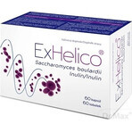 ExHelico 1×60 cps, complément alimentaire ExHelico 1×60 cps, complément alimentaire