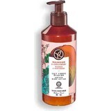 Yves Rocher Mango & Coriander Body Lotion 1×390 ml, body lotion