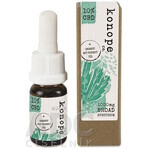 Hemp co. 10% CBD in olio di argan biologico - ampio spettro 1000mg 1×10 g Hemp co. 10% CBD in olio di argan biologico - ampio spettro 1000mg 1×10 g