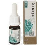 Hemp co. 10% CBD in olio di argan biologico - ampio spettro 1000mg 1×10 g Hemp co. 10% CBD in olio di argan biologico - ampio spettro 1000mg 1×10 g