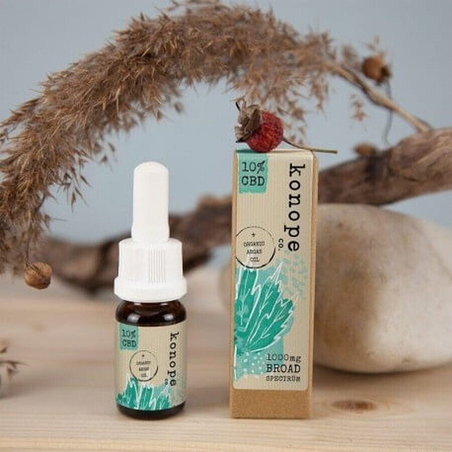 Hemp co. 10% CBD in olio di argan biologico - ampio spettro 1000mg 1×10 g