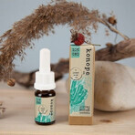 Hemp co. 10% CBD in olio di argan biologico - ampio spettro 1000mg 1×10 g Hemp co. 10% CBD in olio di argan biologico - ampio spettro 1000mg 1×10 g