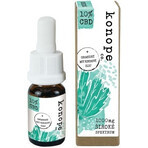 Hemp co. 10% CBD in olio di argan biologico - ampio spettro 1000mg 1×10 g Hemp co. 10% CBD in olio di argan biologico - ampio spettro 1000mg 1×10 g