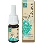Hemp co. 10% CBD in olio di argan biologico - ampio spettro 1000mg 1×10 g Hemp co. 10% CBD in olio di argan biologico - ampio spettro 1000mg 1×10 g