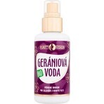 PURITY VISON Bio Acqua di geranio 1×100 ml, acqua di geranio