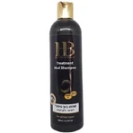 HB Dead Sea Minerals Dead Sea Mud Hair Shampoo 400ml 1×400 ml, shampoo