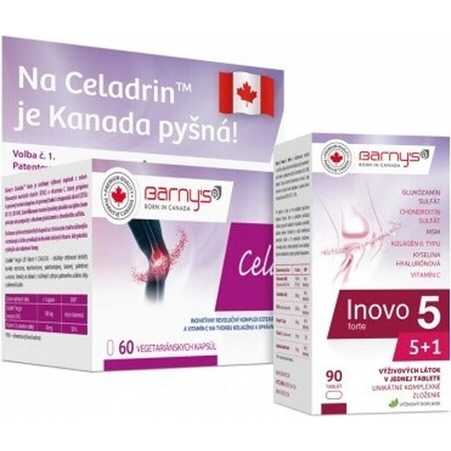 Barny's BONE pack 1×90 cps, voedingssupplement