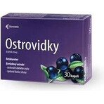 Noventis Ostrovidky 2×15 cps, food supplement