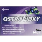 Noventis Ostrovidky 2×15 cps, food supplement