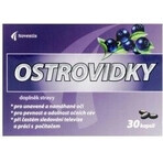 Noventis Ostrovidky 2×15 cps, food supplement