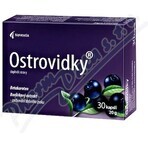 Noventis Ostrovidky 2×15 cps, food supplement
