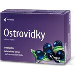 Noventis Ostrovidky 2×15 cps, food supplement