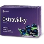Noventis Ostrovidky 2×15 cps, food supplement