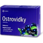 Noventis Ostrovidky 2×15 cps, food supplement