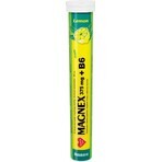 Vitabalans MAGNEX 375 mg + B6 bruisend 1×20 tbl, magnesium + B6 voor sporters Vitabalans MAGNEX 375 mg + B6 bruisend 1×20 tbl, magnesium + B6 voor sporters