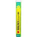 Vitabalans MAGNEX 375 mg + B6 bruisend 1×20 tbl, magnesium + B6 voor sporters Vitabalans MAGNEX 375 mg + B6 bruisend 1×20 tbl, magnesium + B6 voor sporters