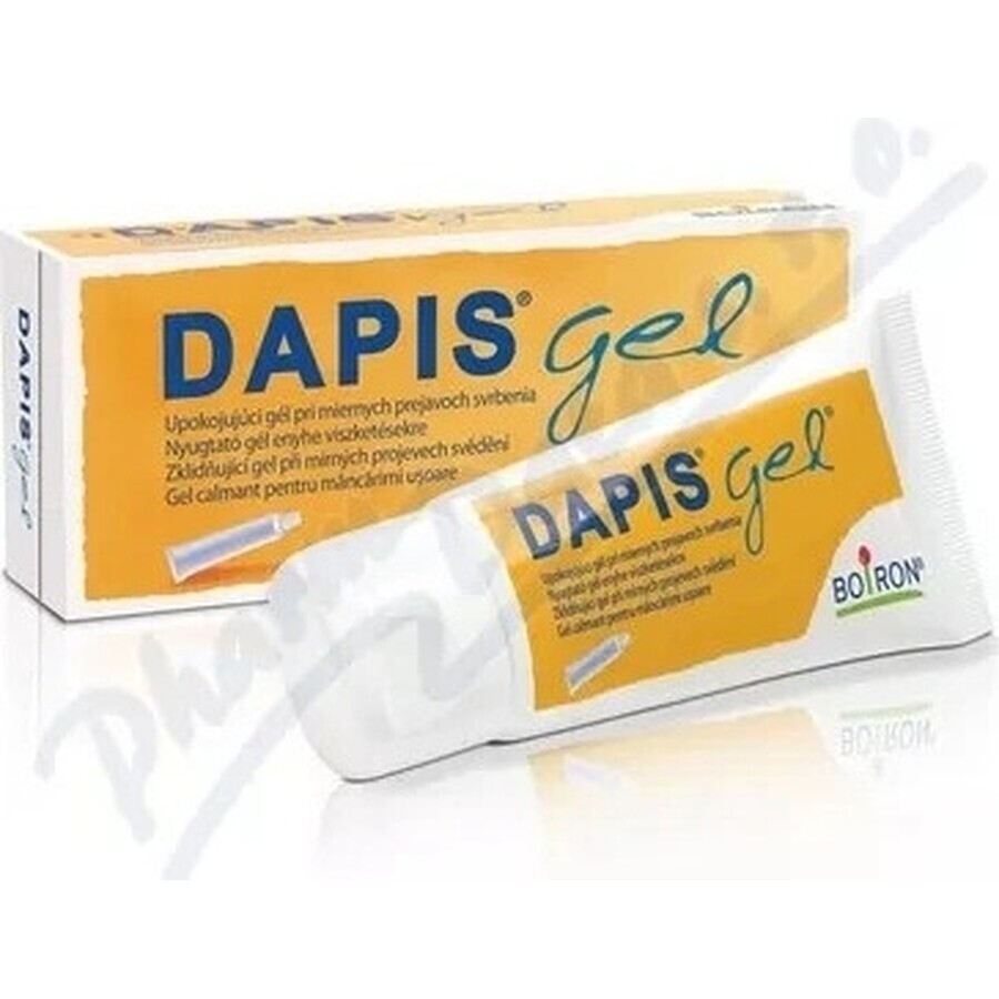 DAPIS 1×40 g gel