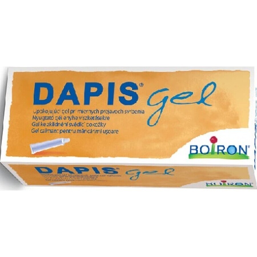 DAPIS 1×40 g gel